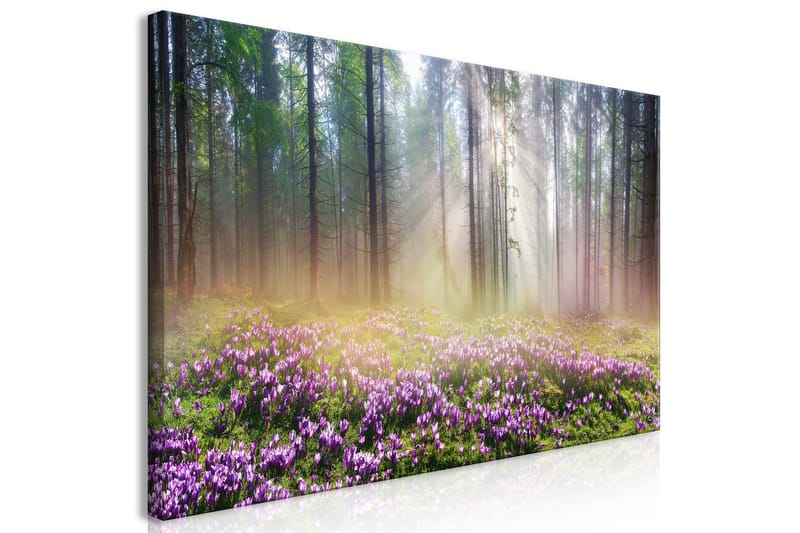 Tavla Purple Meadow (1 Part) Wide 120x60 - Artgeist sp. z o. o. - Inredning & dekor - Tavlor & konst - Canvastavla