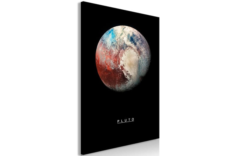 Tavla Pluto (1 Part) Vertical 40x60 - Artgeist sp. z o. o. - Inredning & dekor - Tavlor & konst - Canvastavla