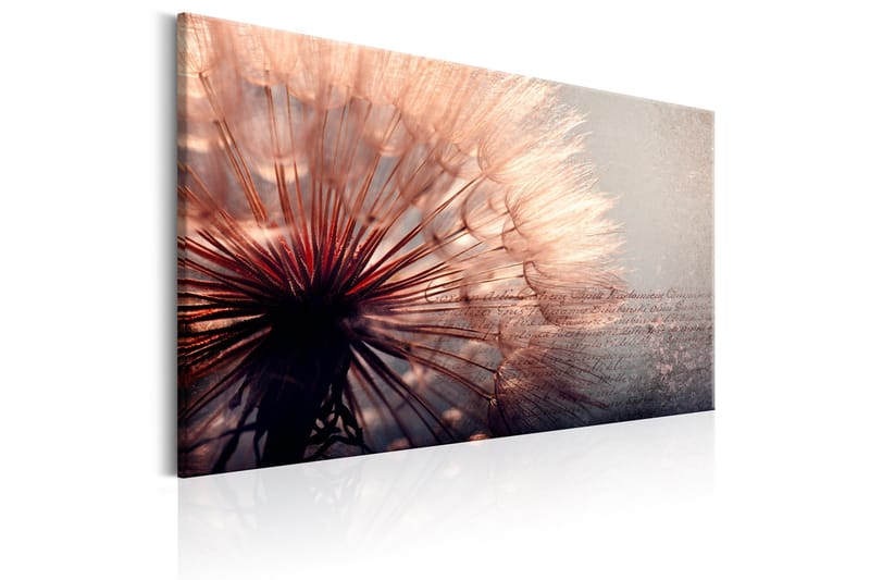 Tavla Pink Gentleness 90x60 - Artgeist sp. z o. o. - Inredning & dekor - Tavlor & konst - Canvastavla