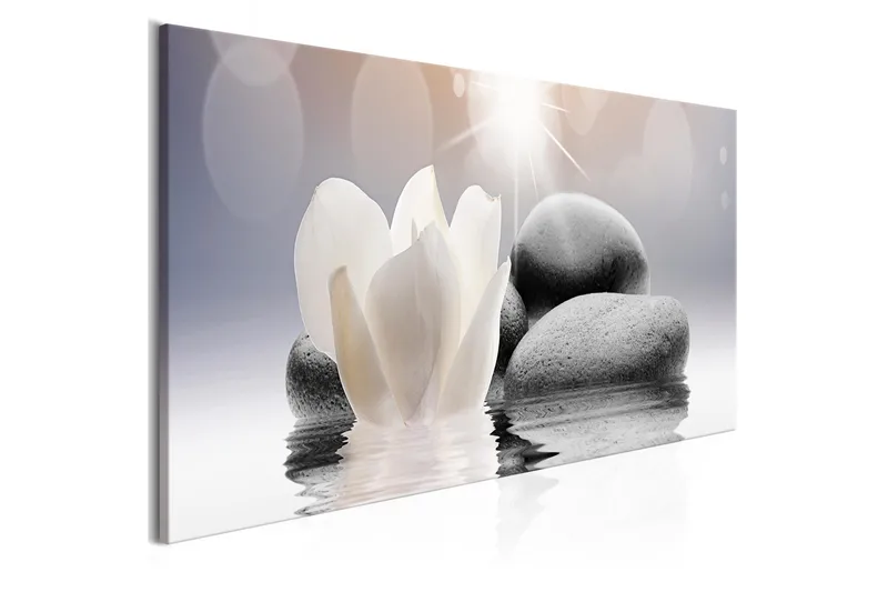 Tavla Pebbles In Water 1 Part Narrow 120X40 Vit, Artgeist sp. z o. o.