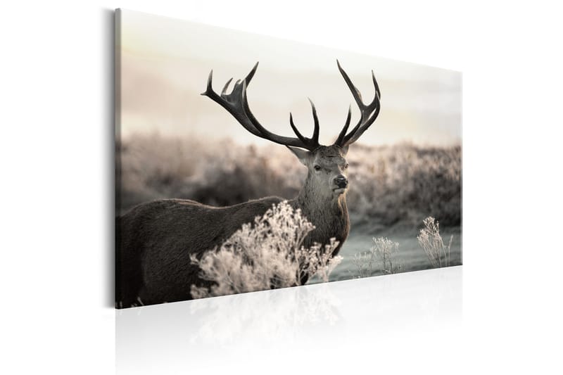 Tavla Powerful Horns 90x60 - Artgeist sp. z o. o. - Inredning & dekor - Tavlor & konst - Canvastavla