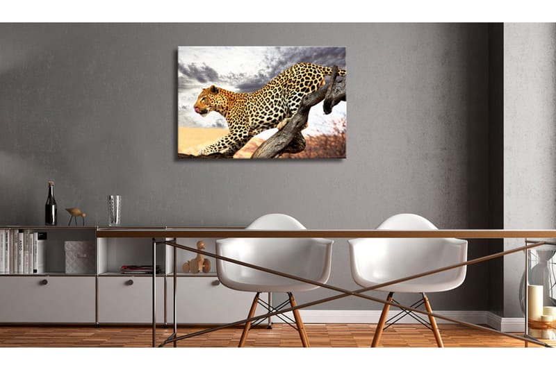 TAVLA Predatory Stare 60x40, Artgeist sp. z o. o.