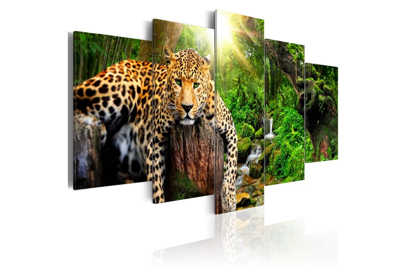 Tavla Predator'S Relaxation 100X50 Flerfärgad|Vit - Artgeist sp. z o. o. - Inredning & dekor - Tavlor & konst - Canvastavla