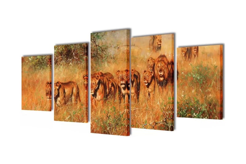 Uppsättning väggbonader på duk: lejon 100x50 cm - Flerfärgad - Inredning & dekor - Tavlor & konst - Canvastavla