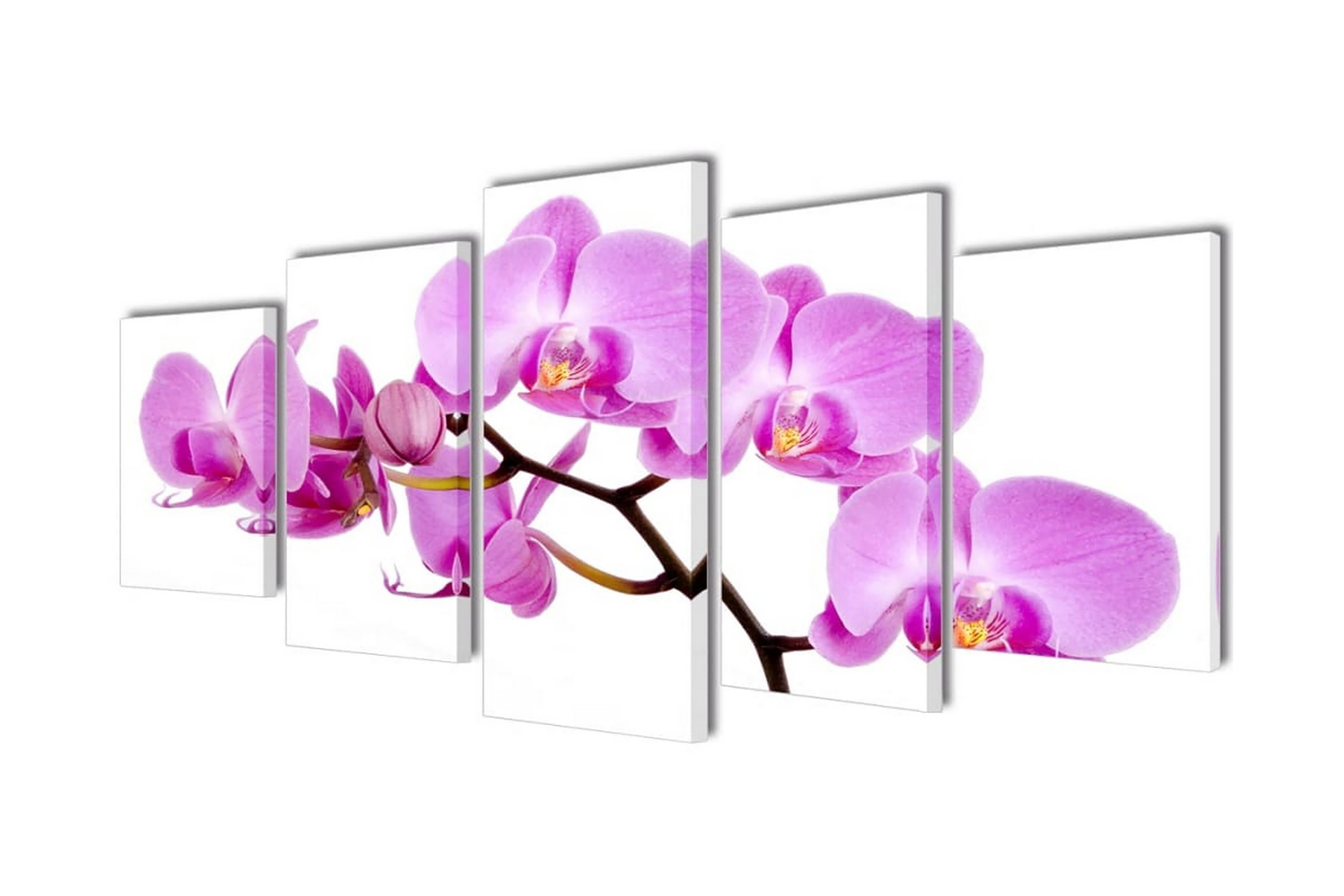 Uppsättning väggbonader på duk: orkidé 200×100 cm – Flerfärgad