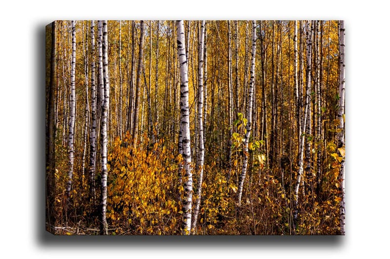 Väggdekor Canvas Målning - Inredning & dekor - Tavlor & konst - Canvastavla