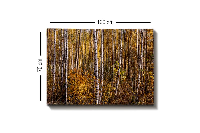 Väggdekor Canvas Målning - Inredning & dekor - Tavlor & konst - Canvastavla