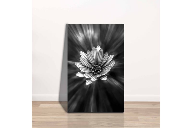 Väggdekor Canvas Målning - Inredning & dekor - Tavlor & konst - Canvastavla