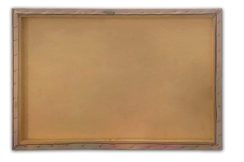 Väggdekor Canvastavla Bract Abstract - 70x50 cm - Inredning & dekor - Tavlor & konst - Canvastavla