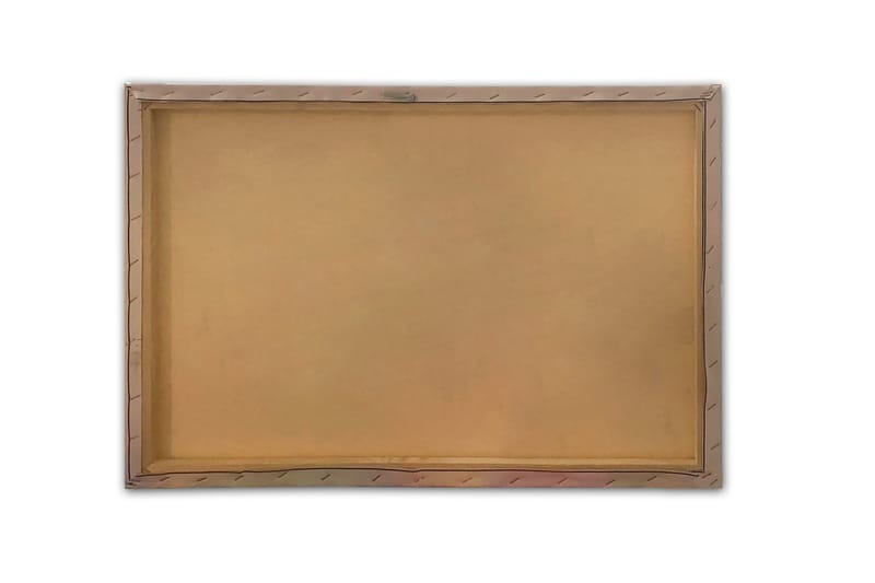 Väggdekor Canvastavla Bract Floral 70x50 cm - Inredning & dekor - Tavlor & konst - Canvastavla