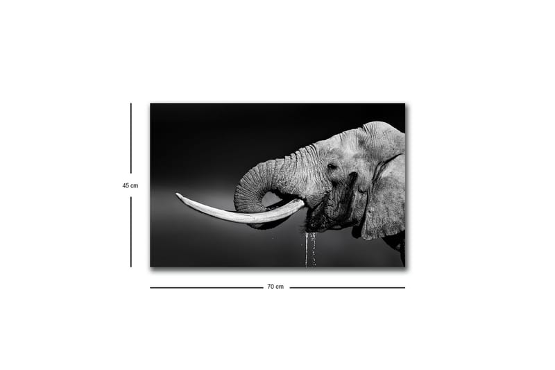 Väggdekor LED-belysning Canvas Målning - Inredning & dekor - Tavlor & konst - Canvastavla