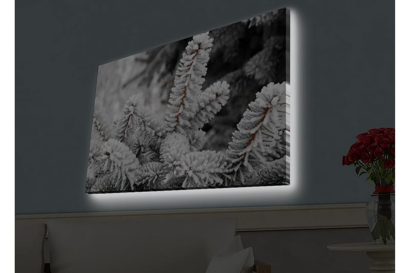 Väggdekor LED-belysning Canvas Målning - Inredning & dekor - Tavlor & konst - Canvastavla