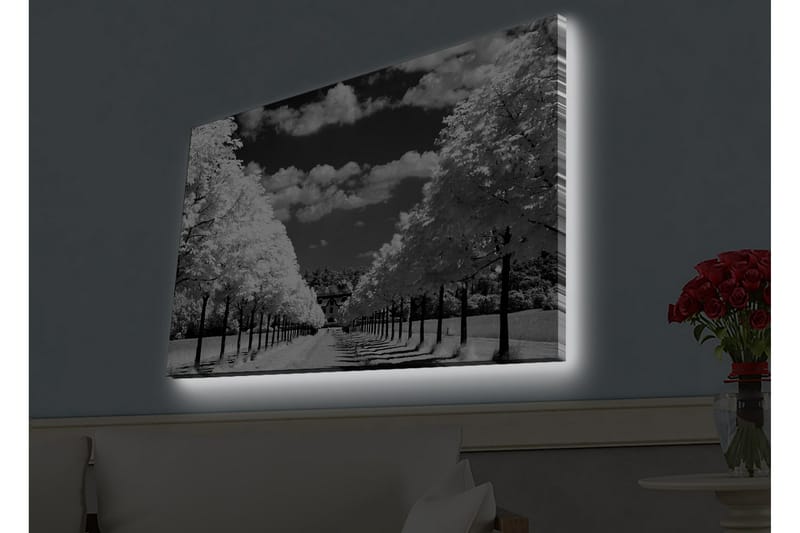 Väggdekor LED-belysning Canvas Målning - Inredning & dekor - Tavlor & konst - Canvastavla