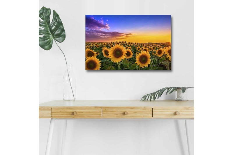 Väggdekor LED-belysning Canvas Målning - Inredning & dekor - Tavlor & konst - Canvastavla