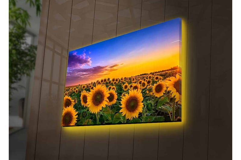 Väggdekor LED-belysning Canvas Målning - Inredning & dekor - Tavlor & konst - Canvastavla