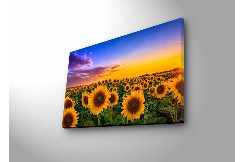 Väggdekor LED-belysning Canvas Målning - Inredning & dekor - Tavlor & konst - Canvastavla