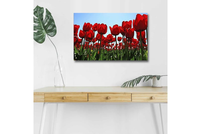 Väggdekor LED-belysning Canvas Målning - Inredning & dekor - Tavlor & konst - Canvastavla