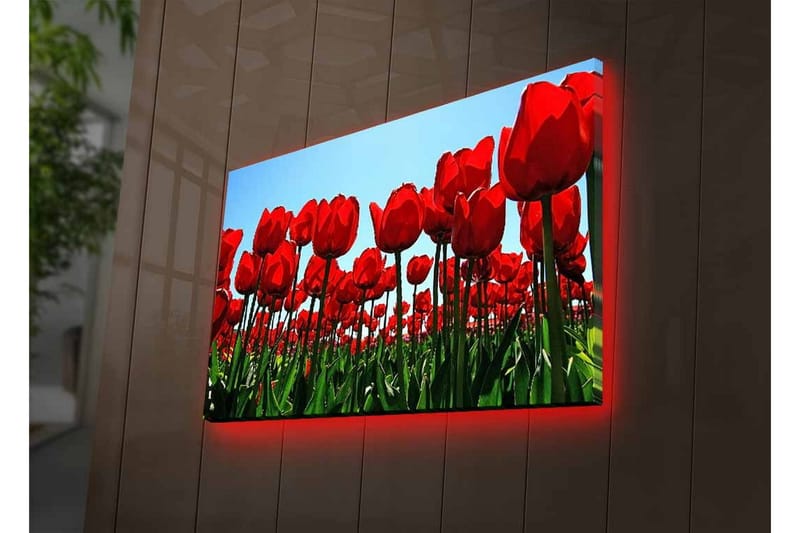 Väggdekor LED-belysning Canvas Målning - Inredning & dekor - Tavlor & konst - Canvastavla