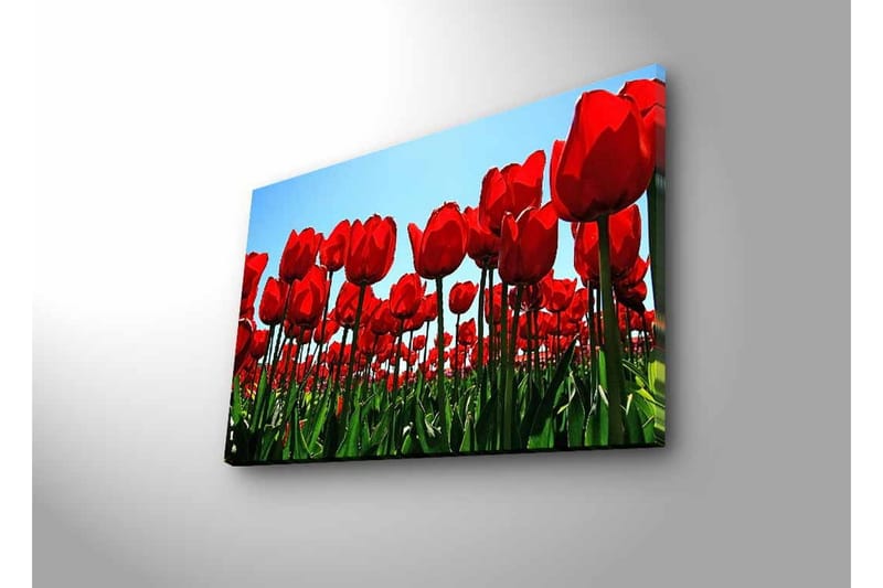 Väggdekor LED-belysning Canvas Målning - Inredning & dekor - Tavlor & konst - Canvastavla
