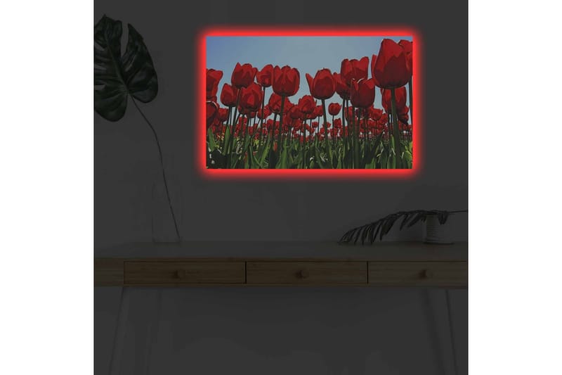 Väggdekor LED-belysning Canvas Målning - Inredning & dekor - Tavlor & konst - Canvastavla