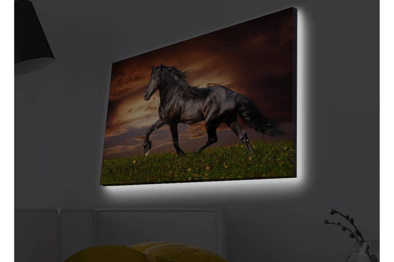 Väggdekor LED-belysning Canvas Målning - Inredning & dekor - Tavlor & konst - Canvastavla