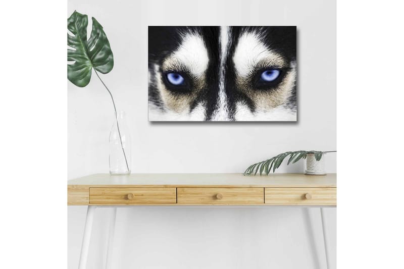 Väggdekor LED-belysning Canvas Målning - Inredning & dekor - Tavlor & konst - Canvastavla