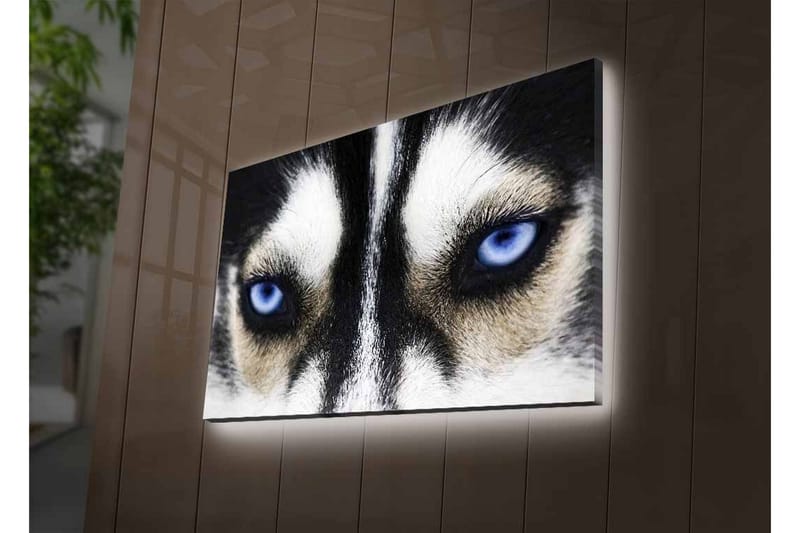 Väggdekor LED-belysning Canvas Målning - Inredning & dekor - Tavlor & konst - Canvastavla