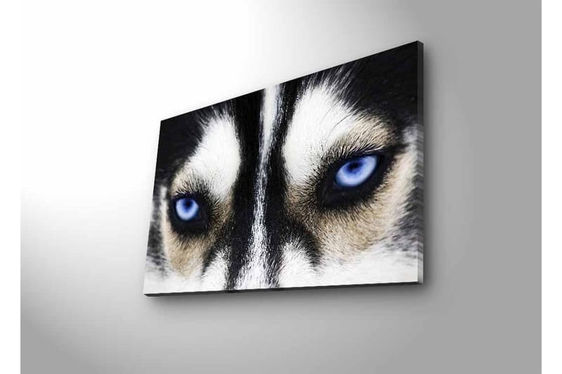 Väggdekor LED-belysning Canvas Målning - Inredning & dekor - Tavlor & konst - Canvastavla