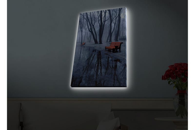 Väggdekor LED-belysning Canvas Målning - Inredning & dekor - Tavlor & konst - Canvastavla