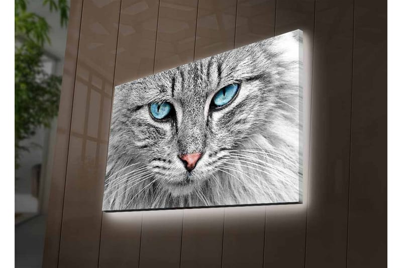 Väggdekor LED-belysning Canvas Målning - Inredning & dekor - Tavlor & konst - Canvastavla