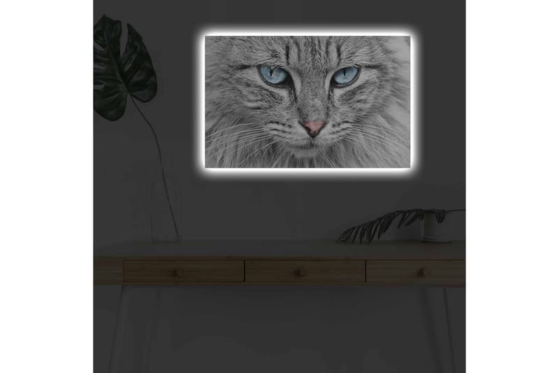Väggdekor LED-belysning Canvas Målning - Inredning & dekor - Tavlor & konst - Canvastavla