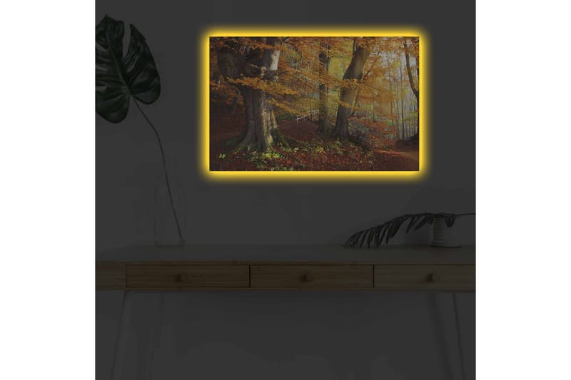 Väggdekor LED-belysning Canvas Målning - Inredning & dekor - Tavlor & konst - Canvastavla