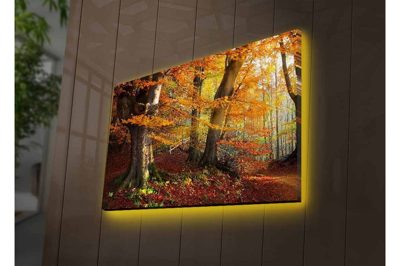 Väggdekor LED-belysning Canvas Målning - Inredning & dekor - Tavlor & konst - Canvastavla