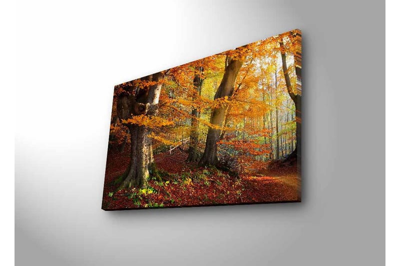 Väggdekor LED-belysning Canvas Målning - Inredning & dekor - Tavlor & konst - Canvastavla