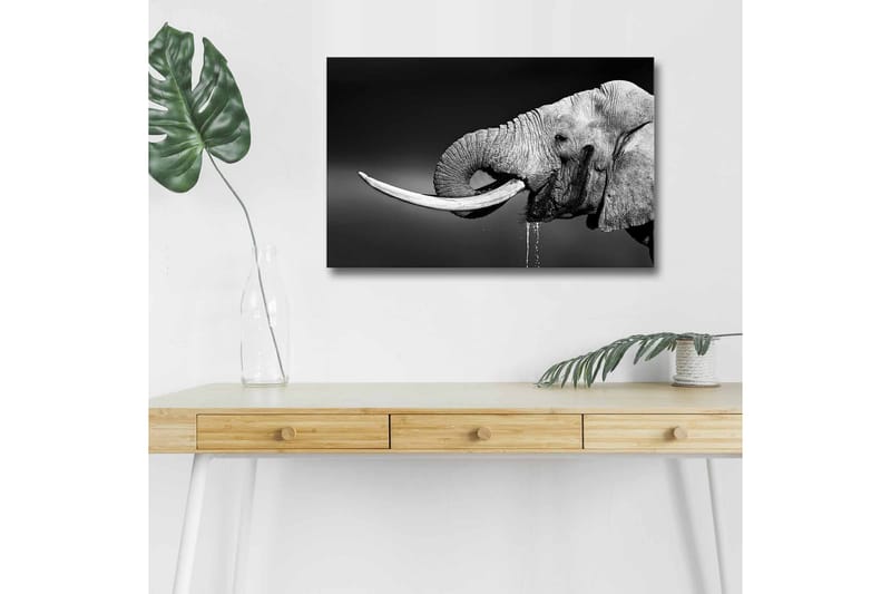 Väggdekor LED-belysning Canvas Målning - Inredning & dekor - Tavlor & konst - Canvastavla