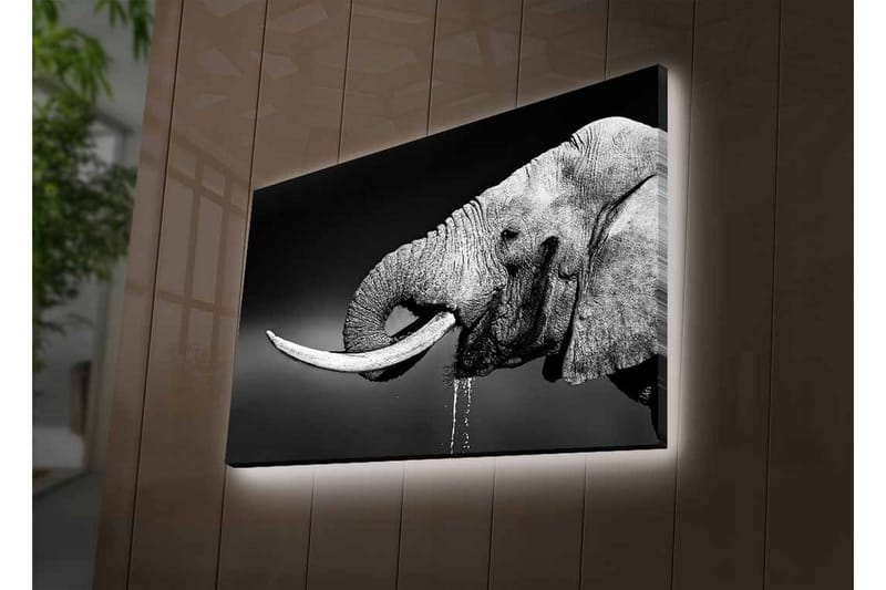 Väggdekor LED-belysning Canvas Målning - Inredning & dekor - Tavlor & konst - Canvastavla