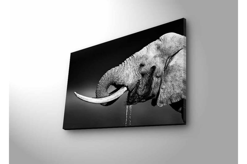 Väggdekor LED-belysning Canvas Målning - Inredning & dekor - Tavlor & konst - Canvastavla