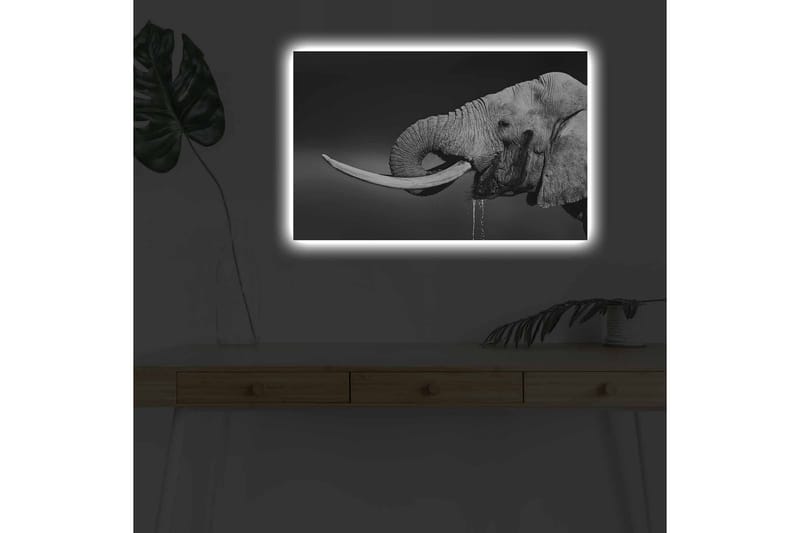 Väggdekor LED-belysning Canvas Målning - Inredning & dekor - Tavlor & konst - Canvastavla