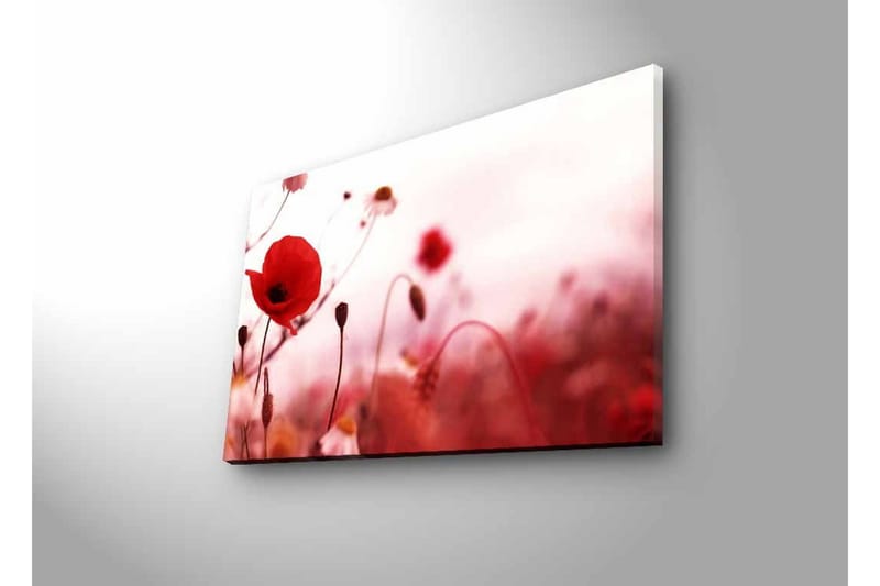Väggdekor LED-belysning Canvas Målning - Inredning & dekor - Tavlor & konst - Canvastavla