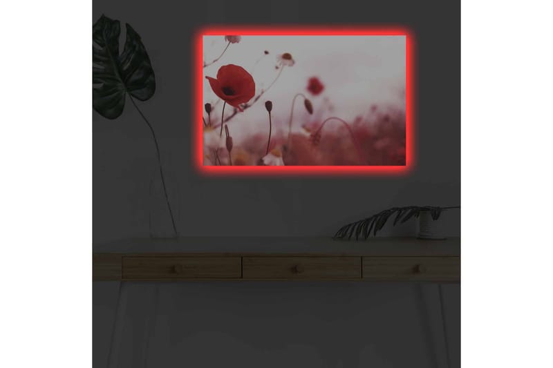 Väggdekor LED-belysning Canvas Målning - Inredning & dekor - Tavlor & konst - Canvastavla