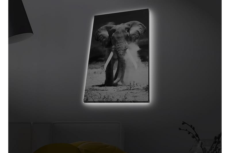 Väggdekor LED-belysning Canvas Målning - Inredning & dekor - Tavlor & konst - Canvastavla