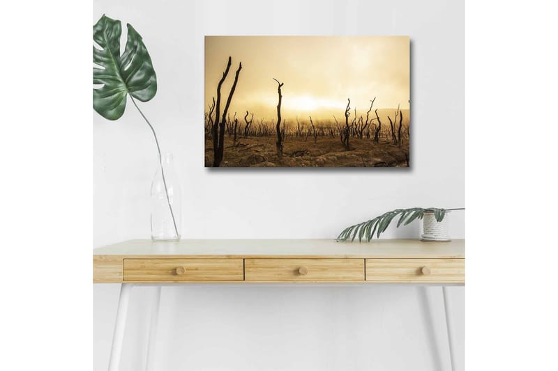 Väggdekor LED-belysning Canvas Målning - Inredning & dekor - Tavlor & konst - Canvastavla
