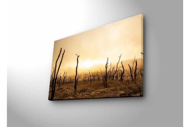 Väggdekor LED-belysning Canvas Målning - Inredning & dekor - Tavlor & konst - Canvastavla
