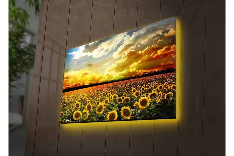 Väggdekor LED-belysning Canvas Målning - Inredning & dekor - Tavlor & konst - Canvastavla