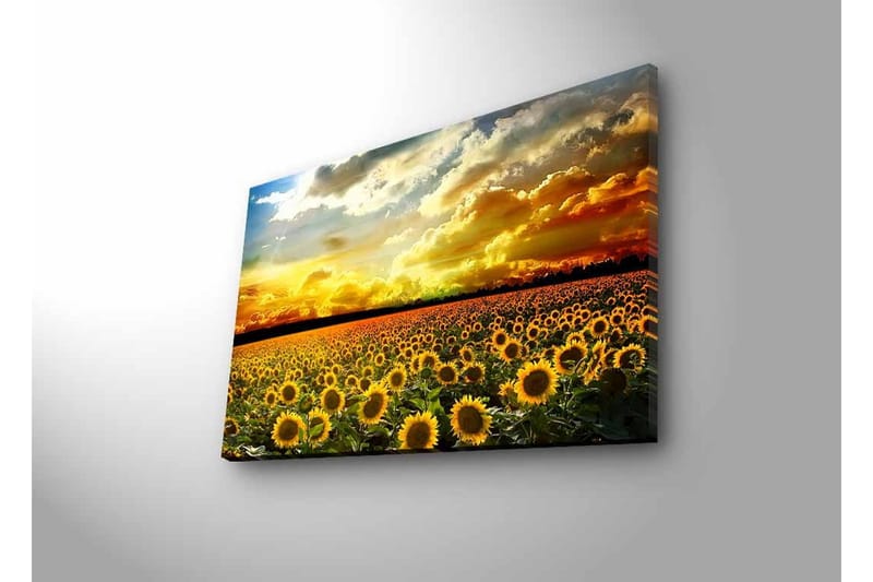 Väggdekor LED-belysning Canvas Målning - Inredning & dekor - Tavlor & konst - Canvastavla