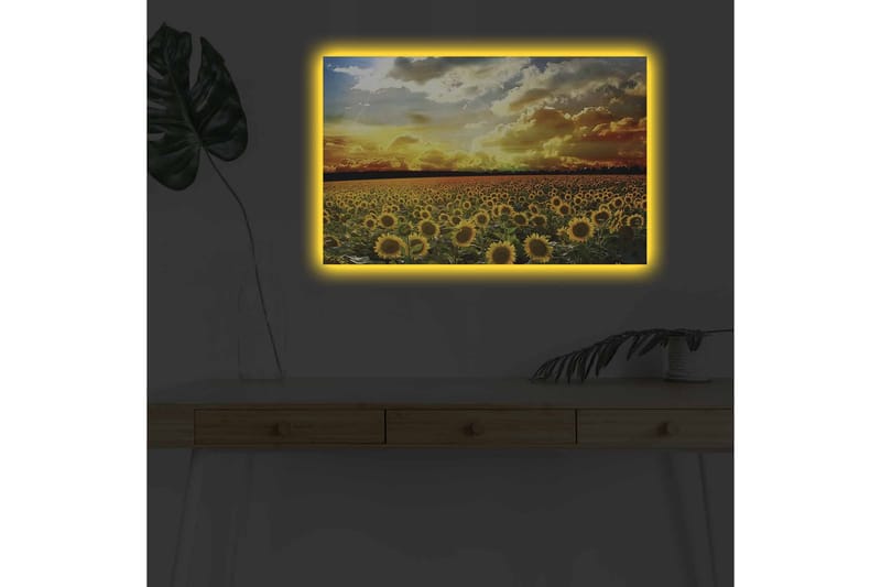 Väggdekor LED-belysning Canvas Målning - Inredning & dekor - Tavlor & konst - Canvastavla