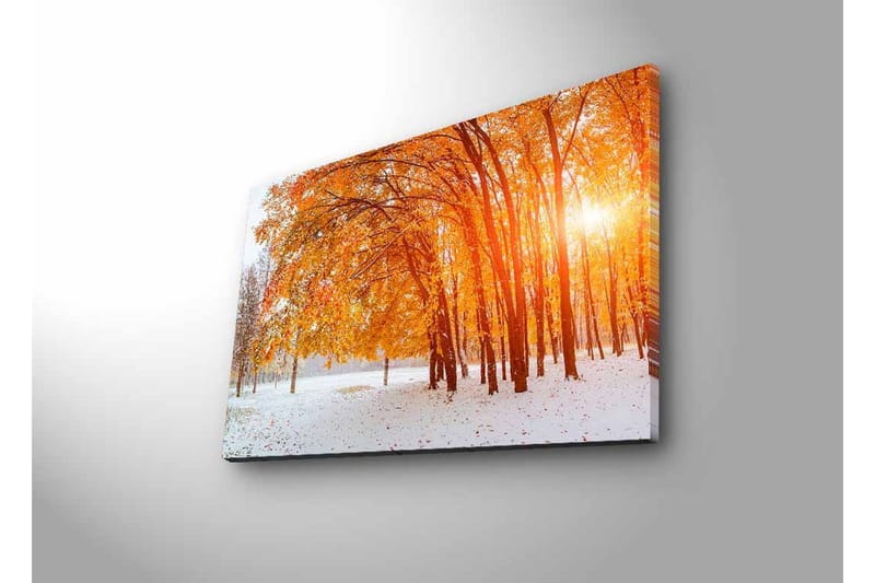 Väggdekor LED-belysning Canvas Målning - Inredning & dekor - Tavlor & konst - Canvastavla