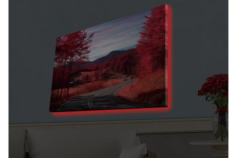 Väggdekor LED-belysning Canvas Målning - Inredning & dekor - Tavlor & konst - Canvastavla