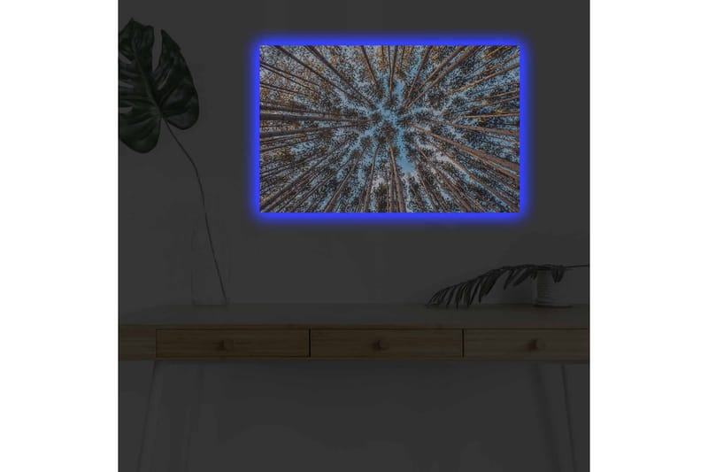 Väggdekor LED-belysning Canvas Målning - Inredning & dekor - Tavlor & konst - Canvastavla
