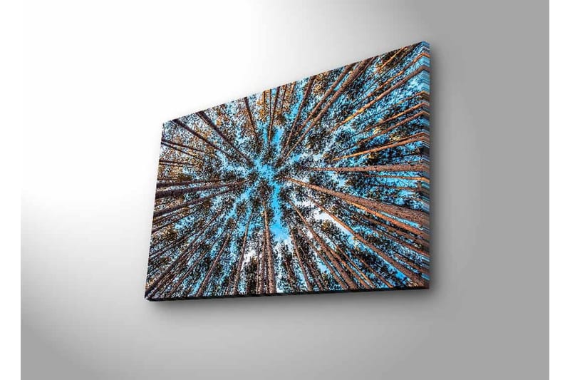 Väggdekor LED-belysning Canvas Målning - Inredning & dekor - Tavlor & konst - Canvastavla